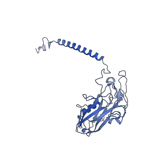 32898_7wyy_D_v1-0
Cryo-EM structure of Na+,K+-ATPase in the E2P state formed by inorganic phosphate with istaroxime
