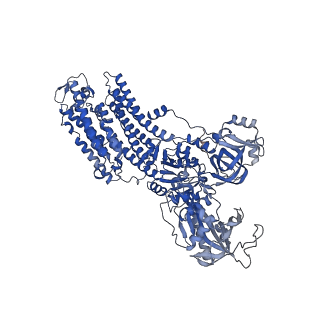32899_7wyz_A_v1-0
Cryo-EM structure of Na+,K+-ATPase in the E2P state formed by ATP with ouabain
