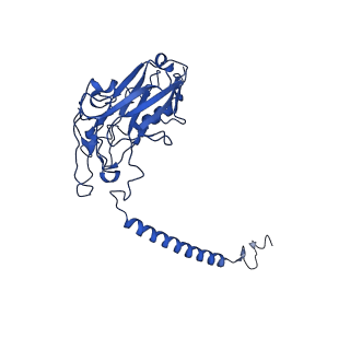 32899_7wyz_B_v1-0
Cryo-EM structure of Na+,K+-ATPase in the E2P state formed by ATP with ouabain