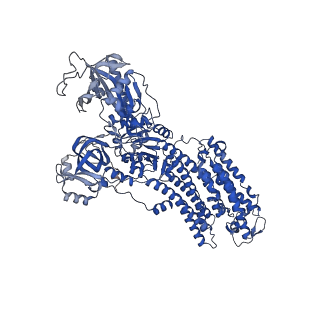 32899_7wyz_C_v1-0
Cryo-EM structure of Na+,K+-ATPase in the E2P state formed by ATP with ouabain