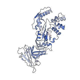 37915_8wy4_B_v1-0
GajA tetramer with ATP