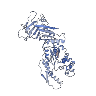 37915_8wy4_C_v1-0
GajA tetramer with ATP