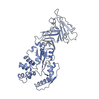 37915_8wy4_D_v1-0
GajA tetramer with ATP