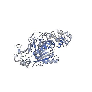 37916_8wy5_A_v1-0
Structure of Gabija GajA in complex with DNA