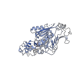 37916_8wy5_B_v1-0
Structure of Gabija GajA in complex with DNA