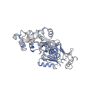 37916_8wy5_C_v1-0
Structure of Gabija GajA in complex with DNA