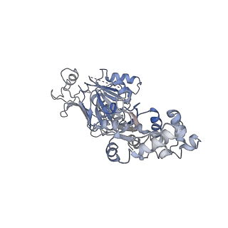 37916_8wy5_D_v1-0
Structure of Gabija GajA in complex with DNA