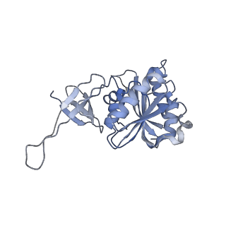 6696_5wyk_3B_v1-1
Cryo-EM structure of the 90S small subunit pre-ribosome (Mtr4-depleted, Enp1-TAP)