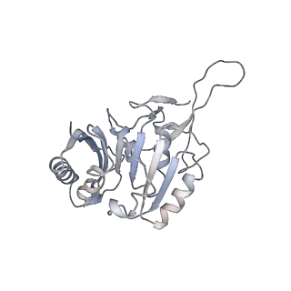 6696_5wyk_3C_v1-1
Cryo-EM structure of the 90S small subunit pre-ribosome (Mtr4-depleted, Enp1-TAP)