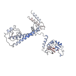 6696_5wyk_3D_v1-1
Cryo-EM structure of the 90S small subunit pre-ribosome (Mtr4-depleted, Enp1-TAP)