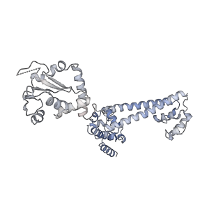6696_5wyk_3E_v1-1
Cryo-EM structure of the 90S small subunit pre-ribosome (Mtr4-depleted, Enp1-TAP)