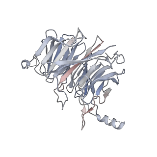 6696_5wyk_3F_v1-1
Cryo-EM structure of the 90S small subunit pre-ribosome (Mtr4-depleted, Enp1-TAP)