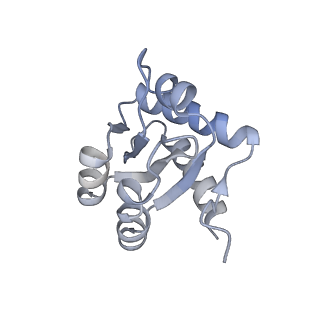 6696_5wyk_3G_v1-1
Cryo-EM structure of the 90S small subunit pre-ribosome (Mtr4-depleted, Enp1-TAP)