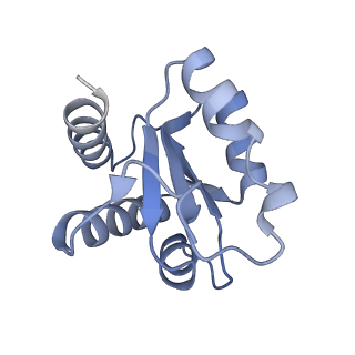 6696_5wyk_3H_v1-1
Cryo-EM structure of the 90S small subunit pre-ribosome (Mtr4-depleted, Enp1-TAP)