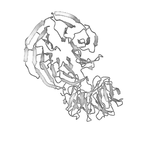 6696_5wyk_AA_v1-1
Cryo-EM structure of the 90S small subunit pre-ribosome (Mtr4-depleted, Enp1-TAP)