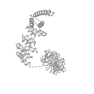 6696_5wyk_AC_v1-1
Cryo-EM structure of the 90S small subunit pre-ribosome (Mtr4-depleted, Enp1-TAP)