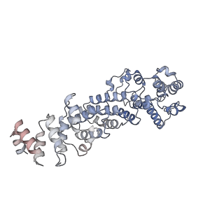 6696_5wyk_AE_v1-1
Cryo-EM structure of the 90S small subunit pre-ribosome (Mtr4-depleted, Enp1-TAP)