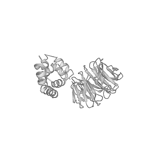 6696_5wyk_AF_v1-1
Cryo-EM structure of the 90S small subunit pre-ribosome (Mtr4-depleted, Enp1-TAP)