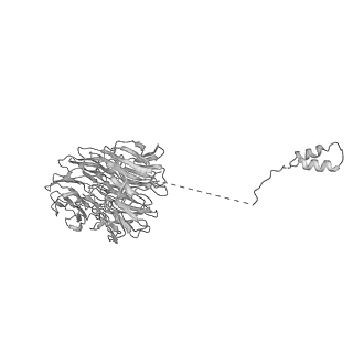 6696_5wyk_AG_v1-1
Cryo-EM structure of the 90S small subunit pre-ribosome (Mtr4-depleted, Enp1-TAP)