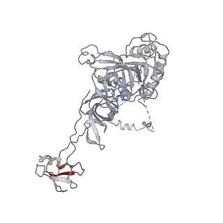 6696_5wyk_B1_v1-1
Cryo-EM structure of the 90S small subunit pre-ribosome (Mtr4-depleted, Enp1-TAP)