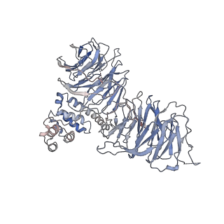 6696_5wyk_BA_v1-1
Cryo-EM structure of the 90S small subunit pre-ribosome (Mtr4-depleted, Enp1-TAP)
