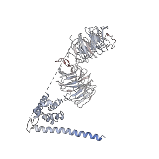 6696_5wyk_BB_v1-1
Cryo-EM structure of the 90S small subunit pre-ribosome (Mtr4-depleted, Enp1-TAP)