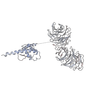 6696_5wyk_BC_v1-1
Cryo-EM structure of the 90S small subunit pre-ribosome (Mtr4-depleted, Enp1-TAP)