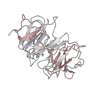 6696_5wyk_BD_v1-1
Cryo-EM structure of the 90S small subunit pre-ribosome (Mtr4-depleted, Enp1-TAP)