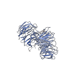 6696_5wyk_BE_v1-1
Cryo-EM structure of the 90S small subunit pre-ribosome (Mtr4-depleted, Enp1-TAP)