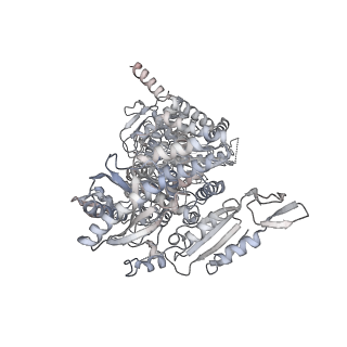 6696_5wyk_CB_v1-1
Cryo-EM structure of the 90S small subunit pre-ribosome (Mtr4-depleted, Enp1-TAP)