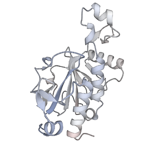6696_5wyk_E1_v1-1
Cryo-EM structure of the 90S small subunit pre-ribosome (Mtr4-depleted, Enp1-TAP)