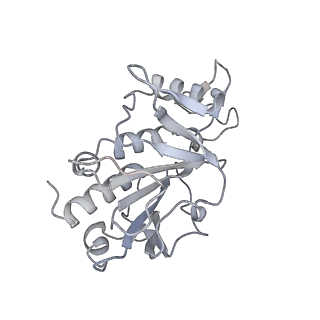 6696_5wyk_E2_v1-1
Cryo-EM structure of the 90S small subunit pre-ribosome (Mtr4-depleted, Enp1-TAP)