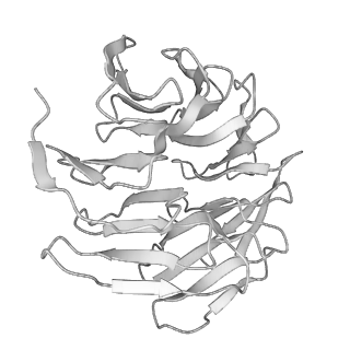 6696_5wyk_E4_v1-1
Cryo-EM structure of the 90S small subunit pre-ribosome (Mtr4-depleted, Enp1-TAP)