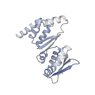 6696_5wyk_K1_v1-1
Cryo-EM structure of the 90S small subunit pre-ribosome (Mtr4-depleted, Enp1-TAP)