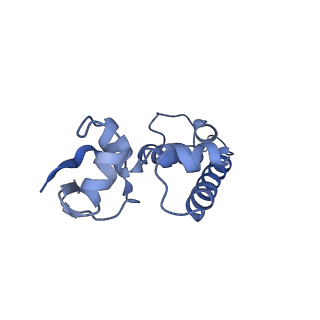 6696_5wyk_MA_v1-1
Cryo-EM structure of the 90S small subunit pre-ribosome (Mtr4-depleted, Enp1-TAP)