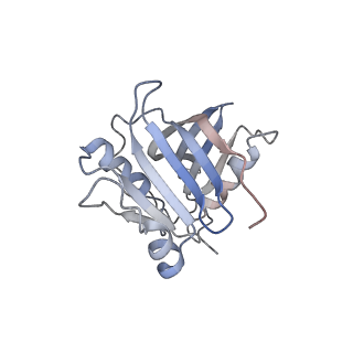 6696_5wyk_MB_v1-1
Cryo-EM structure of the 90S small subunit pre-ribosome (Mtr4-depleted, Enp1-TAP)