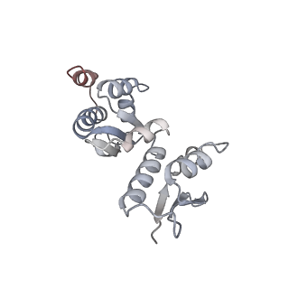 6696_5wyk_P1_v1-1
Cryo-EM structure of the 90S small subunit pre-ribosome (Mtr4-depleted, Enp1-TAP)
