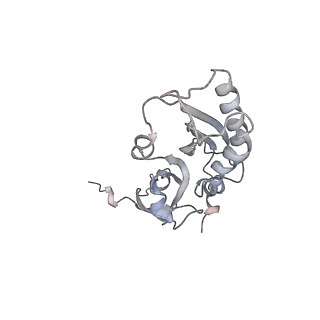 6696_5wyk_SC_v1-1
Cryo-EM structure of the 90S small subunit pre-ribosome (Mtr4-depleted, Enp1-TAP)