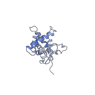 6696_5wyk_SG_v1-1
Cryo-EM structure of the 90S small subunit pre-ribosome (Mtr4-depleted, Enp1-TAP)