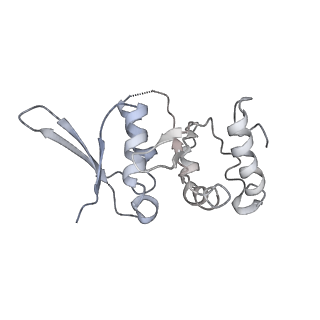 6696_5wyk_SI_v1-1
Cryo-EM structure of the 90S small subunit pre-ribosome (Mtr4-depleted, Enp1-TAP)
