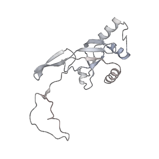 6696_5wyk_SJ_v1-1
Cryo-EM structure of the 90S small subunit pre-ribosome (Mtr4-depleted, Enp1-TAP)