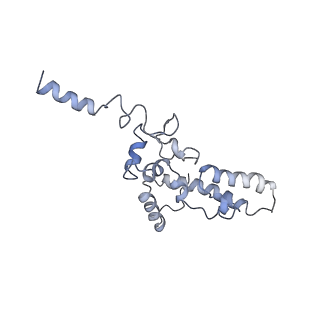 6696_5wyk_SK_v1-1
Cryo-EM structure of the 90S small subunit pre-ribosome (Mtr4-depleted, Enp1-TAP)