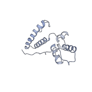 6696_5wyk_SO_v1-1
Cryo-EM structure of the 90S small subunit pre-ribosome (Mtr4-depleted, Enp1-TAP)