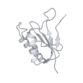 6696_5wyk_SP_v1-1
Cryo-EM structure of the 90S small subunit pre-ribosome (Mtr4-depleted, Enp1-TAP)