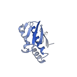 6696_5wyk_SR_v1-1
Cryo-EM structure of the 90S small subunit pre-ribosome (Mtr4-depleted, Enp1-TAP)