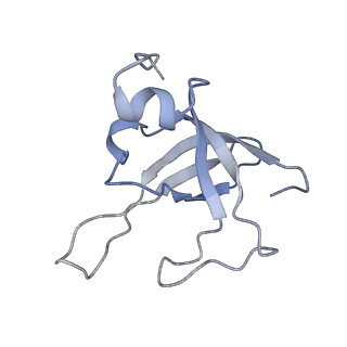 6696_5wyk_SY_v1-1
Cryo-EM structure of the 90S small subunit pre-ribosome (Mtr4-depleted, Enp1-TAP)