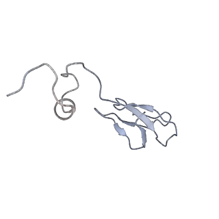 6696_5wyk_Sc_v1-1
Cryo-EM structure of the 90S small subunit pre-ribosome (Mtr4-depleted, Enp1-TAP)