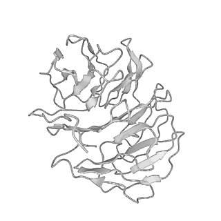 6696_5wyk_U1_v1-1
Cryo-EM structure of the 90S small subunit pre-ribosome (Mtr4-depleted, Enp1-TAP)