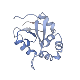 6696_5wyk_U4_v1-1
Cryo-EM structure of the 90S small subunit pre-ribosome (Mtr4-depleted, Enp1-TAP)