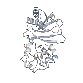6696_5wyk_U5_v1-1
Cryo-EM structure of the 90S small subunit pre-ribosome (Mtr4-depleted, Enp1-TAP)